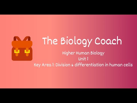 CfE Higher Human Biology - Unit 1, KA1 Division and differentiation