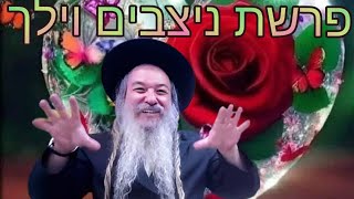 פרשת השבוע נצבים וילך