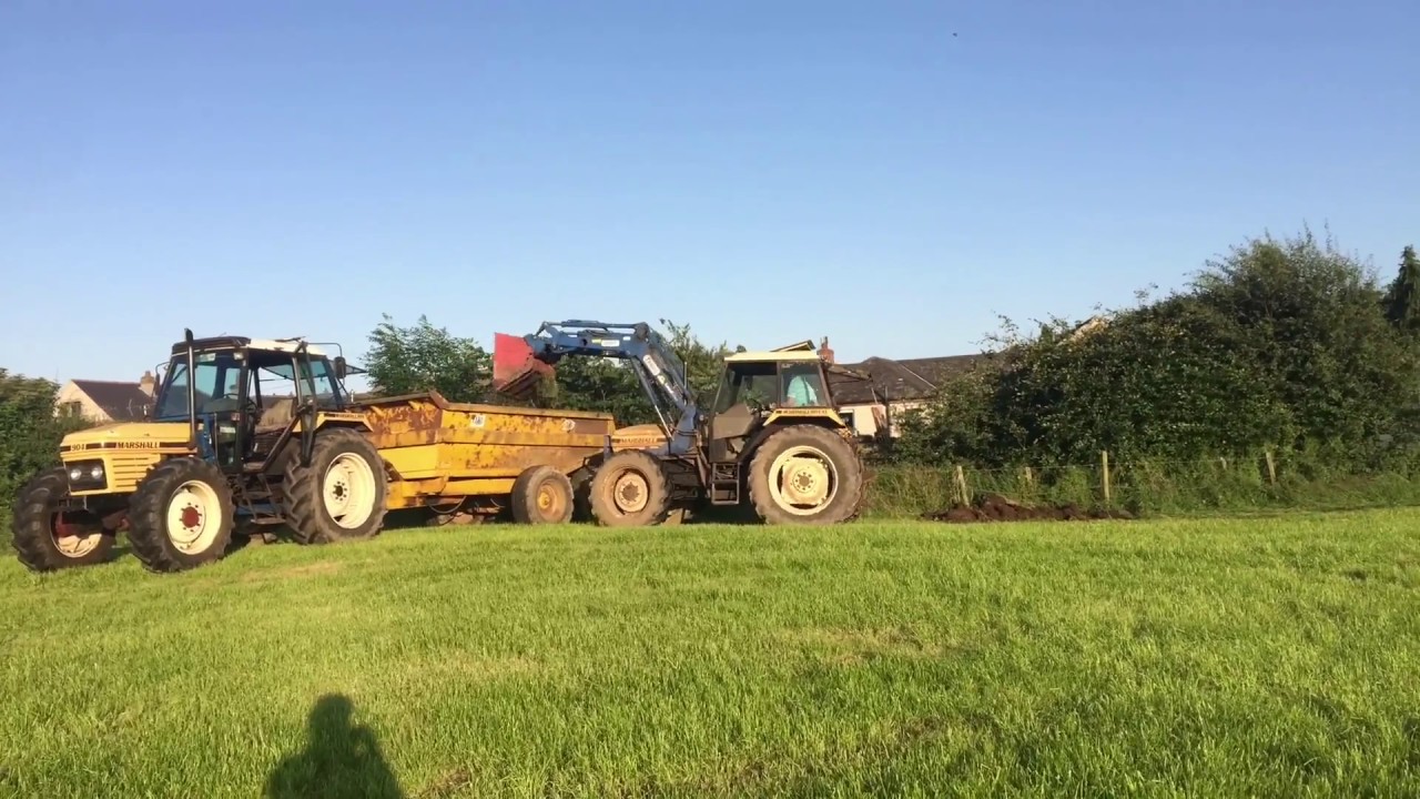 Marshall 904XL and Marshall 804XL doing daily chores - YouTube