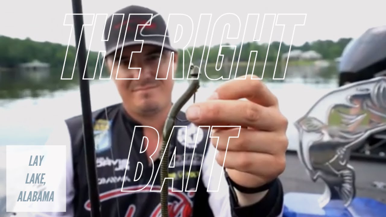 Winning Baits on Lay Lake, AL