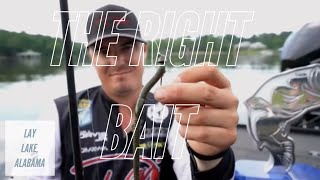 Winning Baits on Lay Lake, AL