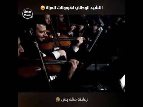 هرمونات الأنثى سطوري مضحك