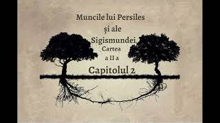 Muncile lui Persiles și ale Sigismundei - Capitolul 25/79 - de Miguel De Cervantes - Audiobook