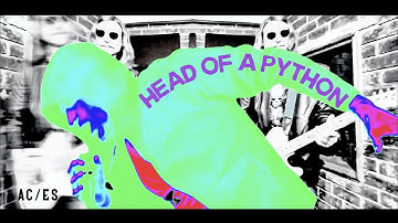 AC/ES - Head of a Python (Official Music Video)