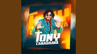 Download Lagu Rave Trip Tony MP3
