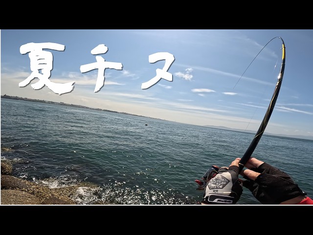 夏チヌ！東二見人工島で真夏のフカセ釣り…。運よく年無しゲット