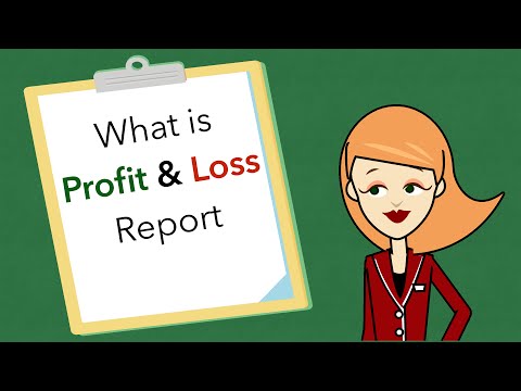 What is a Profit & Loss Report