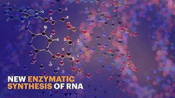 Scientists at IOCB Prague develop a new method for enzymatic synthesis of potential RNA therapeutics