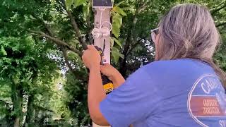 Uiyicil Metal Plant Hangers with a 40-pound Capacity 2 Pack