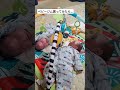 双子にベビージムを買ってみたら…