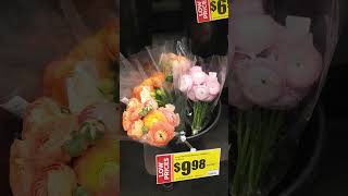 Amazing finds in the H-E-B Floral Dept. Willis, Texas
