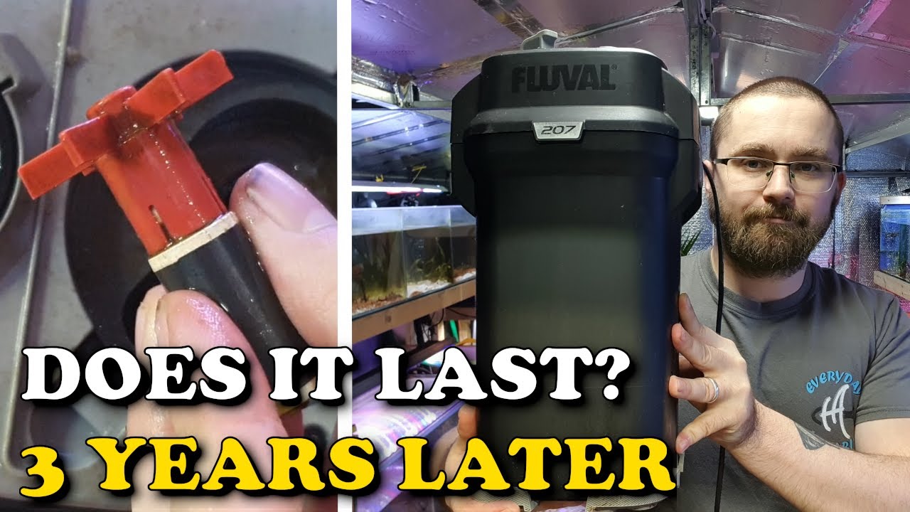 FLUVAL 207 FILTER After 3 YEARS Are Fluval Filters Good Value & Long