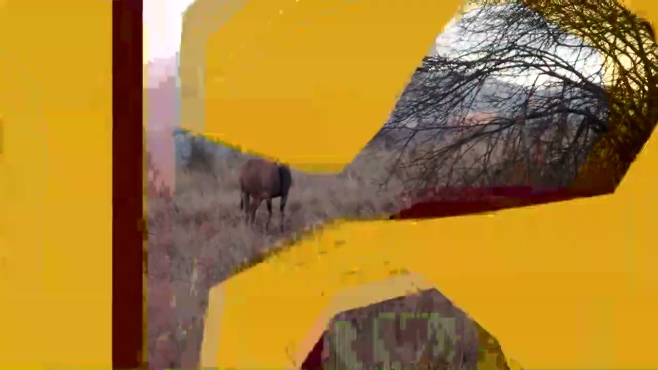 Voorbeeldafbeelding van onze privéfilm over Tsavo West