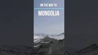 #Mongolia