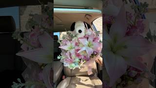 snoopy 💗🎀 #shortsviral #shorts #snoopy #bouquet #florist #fy #htx #gf #forher #flowergift #parati