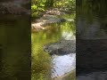 Cours d eau de Luri en corse 