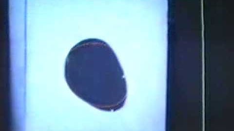 1992 Image divergence and robot control