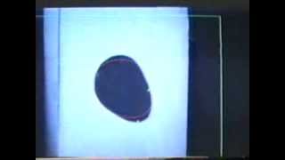 1992 Image divergence and robot control