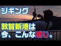 【ジギング 福井県 敦賀新港】明け方のジギングはアツい❗️歯が鋭いドラゴン級⁉️（つりぴ🐟）