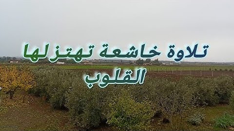 تلاوة عذبة تأخدك لعالم آخر...