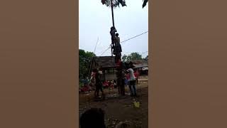 panjat pinang terheboh sampe telanjang #Hut RI 76