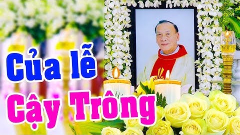 Của Lễ Cậy Trông - Lm. Phanxicô Assisi Lê Quang Đăng - Giáo xứ Tân Hương