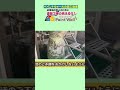 外壁塗装前の『養生』の様子 【外壁屋根塗装Paint Wall】#shorts  #養生