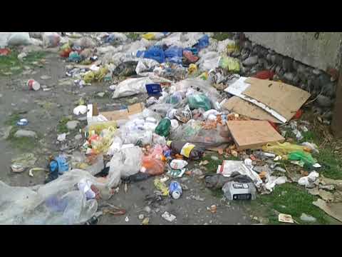 კაბლის გოველ დღიური ბაზარი