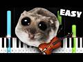 Sad hamster violin meme  easy piano tutorial