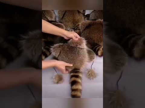 Шапки, шапочки, шапульки 😊😊 Зима на улице ..