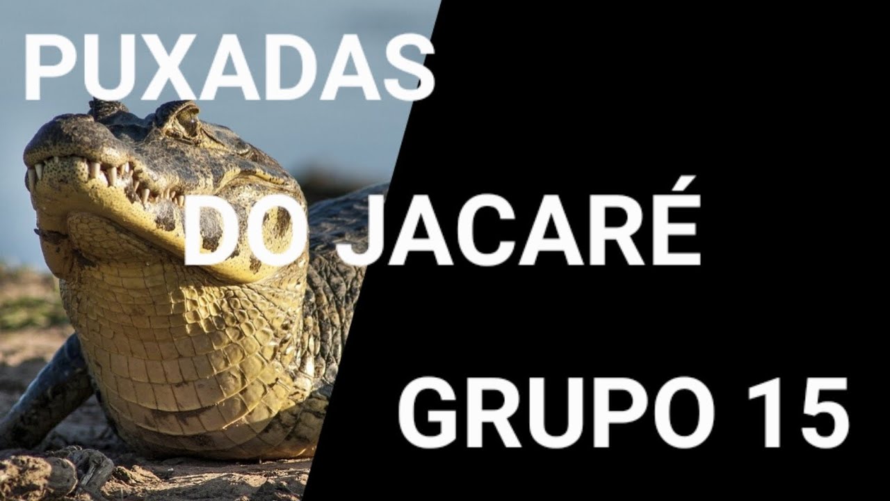 PUXADAS DO JACARÉ GRUPO 15 PUXADAS DO JOGO DO BICHO 🍀 🌿 🌳 🍁 🍀 BOA SORTE ...