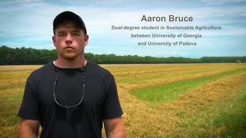 Building a Prototype for Nitrogen Variable Rate Application in Durum Wheat