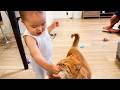 赤ちゃんの手を噛んじゃった猫がまさかの行動に