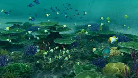 Endless Ocean: Blue World -- Aquarium/ Let's Get Ready to Dive