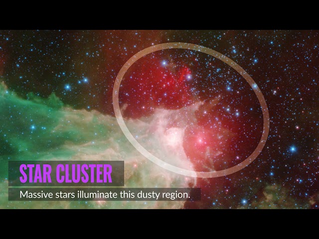 Spitzer Space Telescope Captures Amazing Stellar Family Portrait