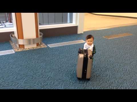 Kylin pushes a suitcase