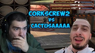 :  CS:GO  CACTUSAAAAA     ?