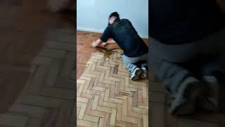 Calafetaçao Com Cola Pu Taco Peroba Rosa Raspagem De Piso Em Madeira