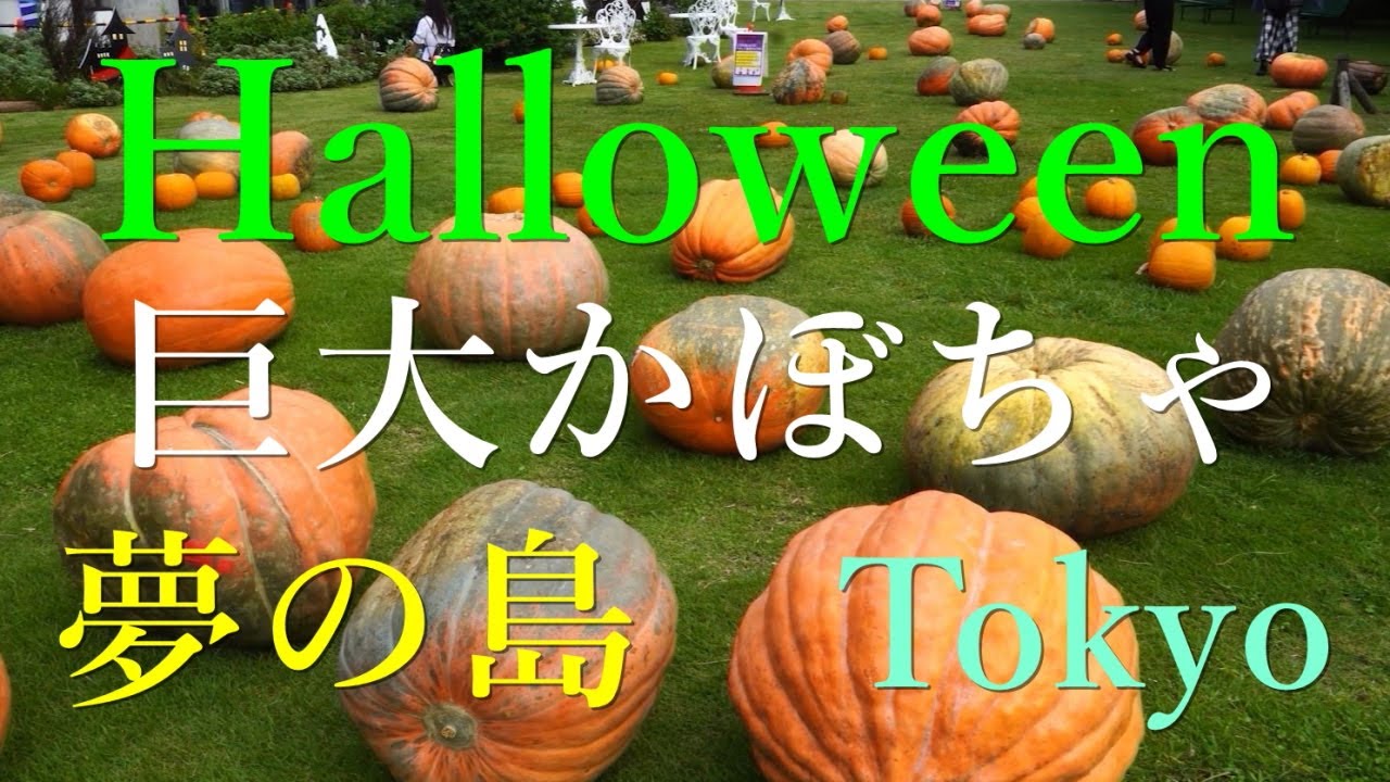 jumbo pumpkin for halloween festival tokyo japan 東京 ハロウィン