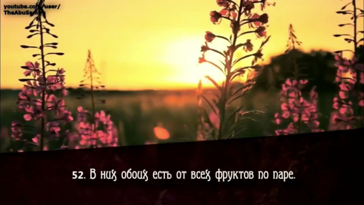 умные высказывания. какую же из милостей вашего. умайр шамим. хадисы про милость всевышнего. коран цитаты.