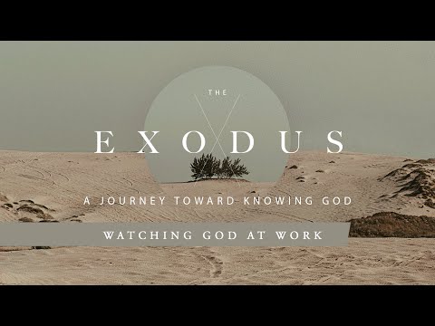 The Exodus: Watching God at Work