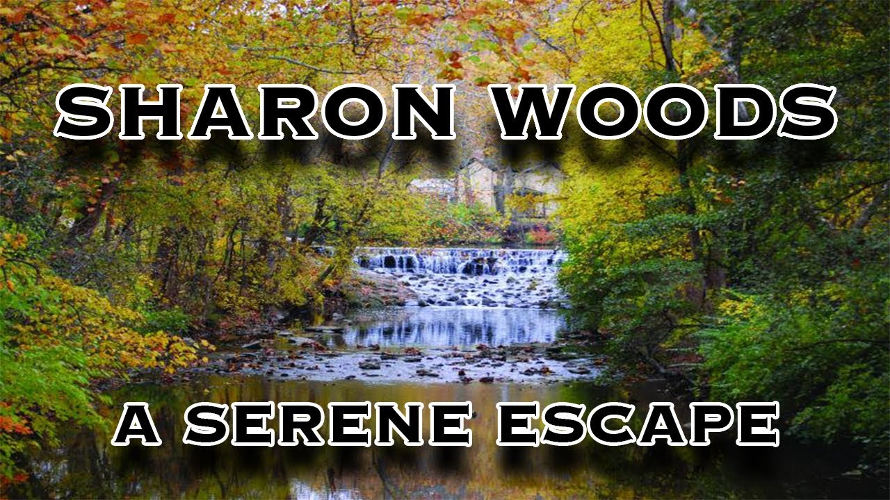 A little escape right in Cincinnati-Sharon Woods