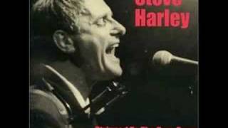 Video thumbnail of "Audience with the Man- Steve Harley"