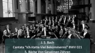 J. S. Bach - Cantata Ich Hatte Viel Bekümmernis Bwv 21 - 5. Bäche Von Gesalznen Zähren 511