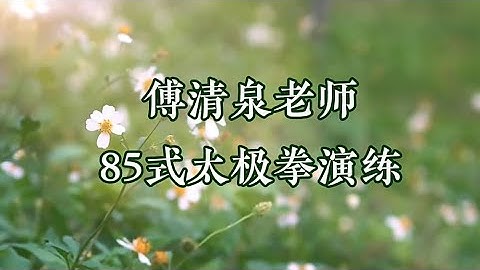 传统杨氏太极拳85式｜傅清泉老师完整演练版 （带拳谱字幕）| Yang-style Tai Chi 85 Form