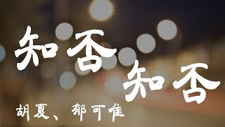 知否知否  郁可唯/胡夏  『超高无损音質』【動態歌詞Lyrics】