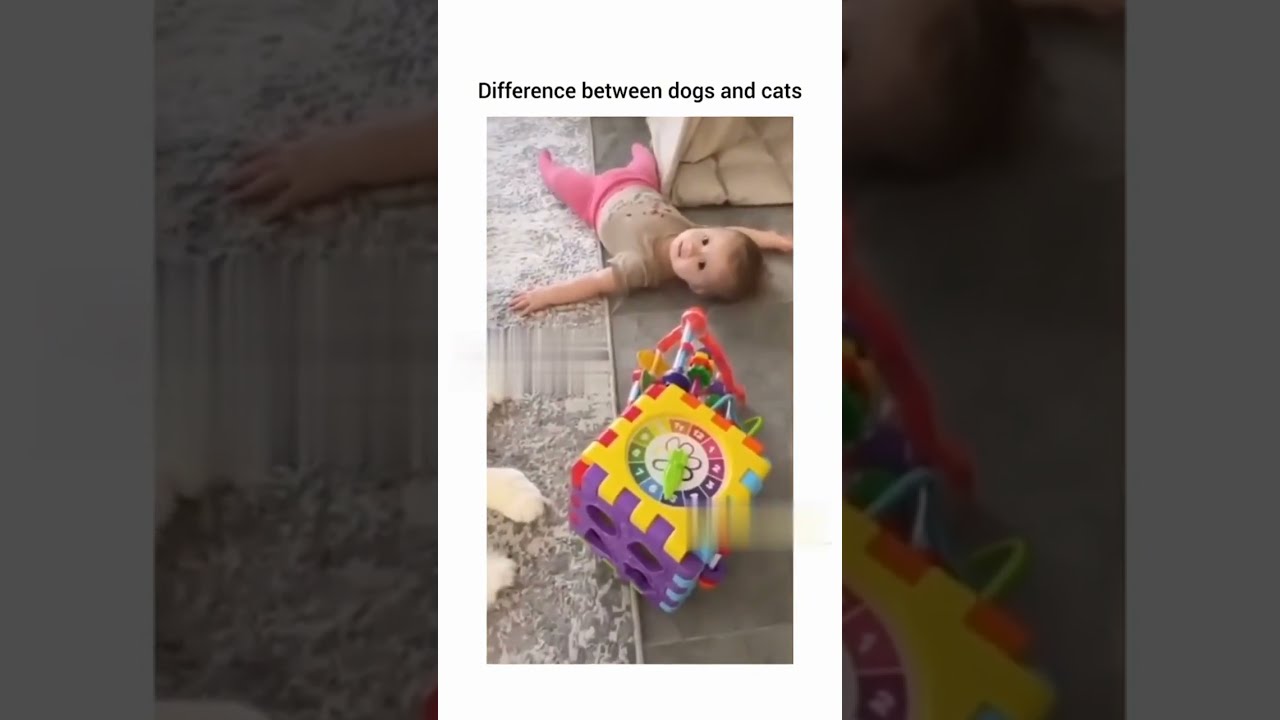 Shocking Differences In How Dogs And Cats Treat Babies