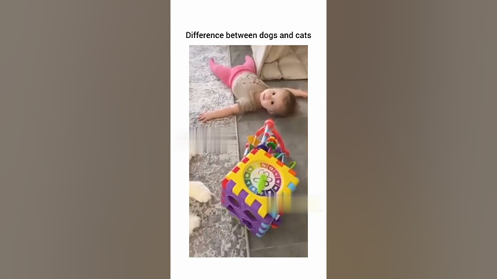 Shocking differences in how dogs and cats treat babies