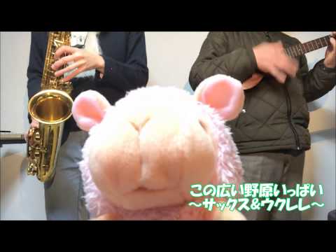 【じっちゃんと一緒】この広い野原いっぱい～サックス&ウクレレ～【じっちゃん74歳】