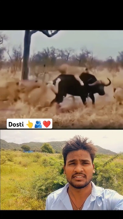 Dosti Hamesha Bure Waqt Mein Sath Dene Wala Sirf shayarivideo dost dosti-hamesha-bure-waqt-mein-sath-dene-wala-sirf-shayarivideo-dost